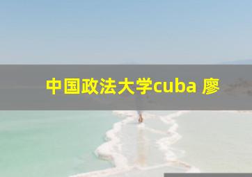 中国政法大学cuba 廖